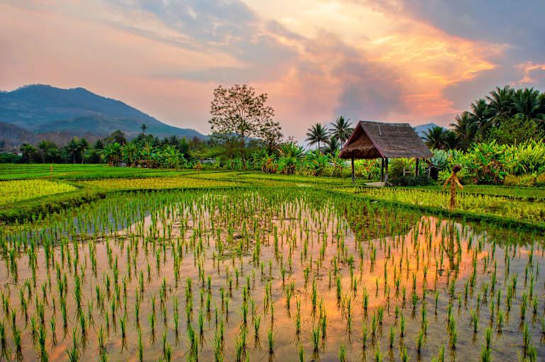 A la découverte du Laos sauvage, spirituel et authentique pas cher photo 28