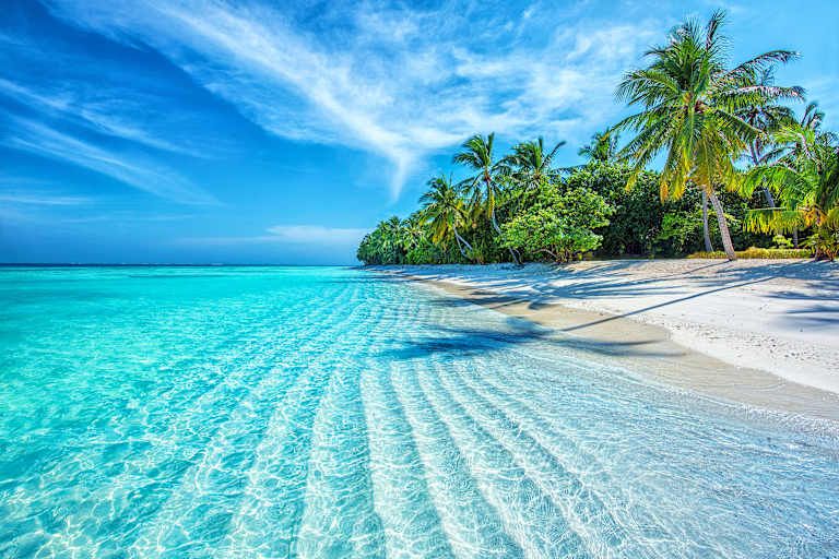Découverte du Sri Lanka avec extension aux Maldives - 4* pas cher photo 22