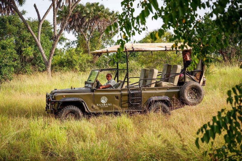 Circuit Jet tours Safari Club Jet tours Anaya Zanzibar 5* et Safari 2 nuits Dans la Réserve Saadani pas cher photo 6