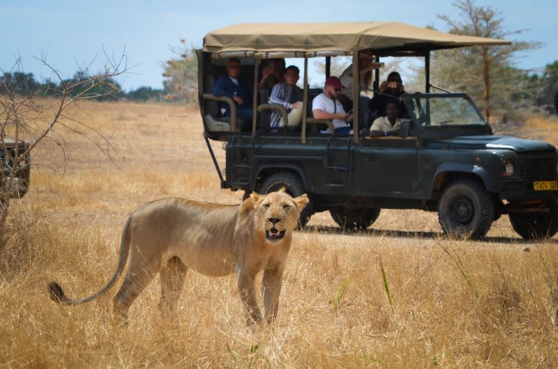 Circuit Jet tours Safari Club Jet tours Anaya Zanzibar 5* et Safari 2 nuits Dans la Réserve Selous pas cher photo 5