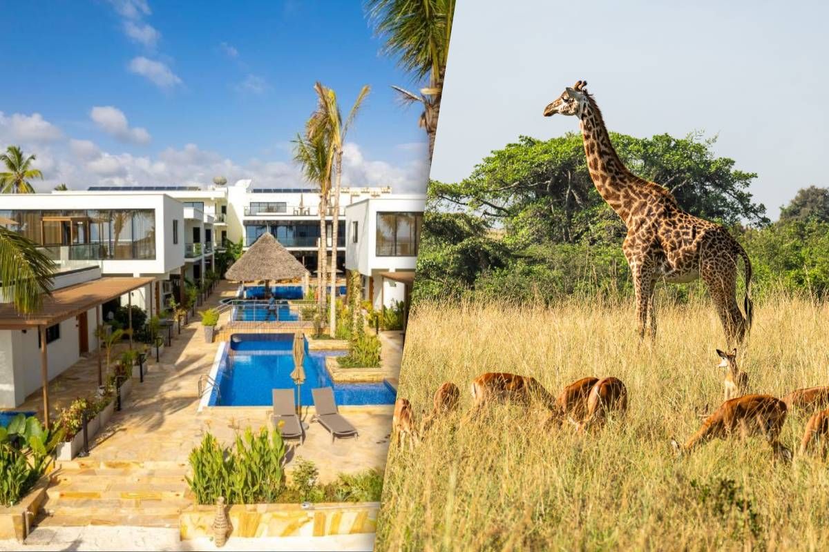 Séjour au Jet tours Signature Toa Hotel & Spa 5* & Safari Selous 2 nuits pas cher photo 2