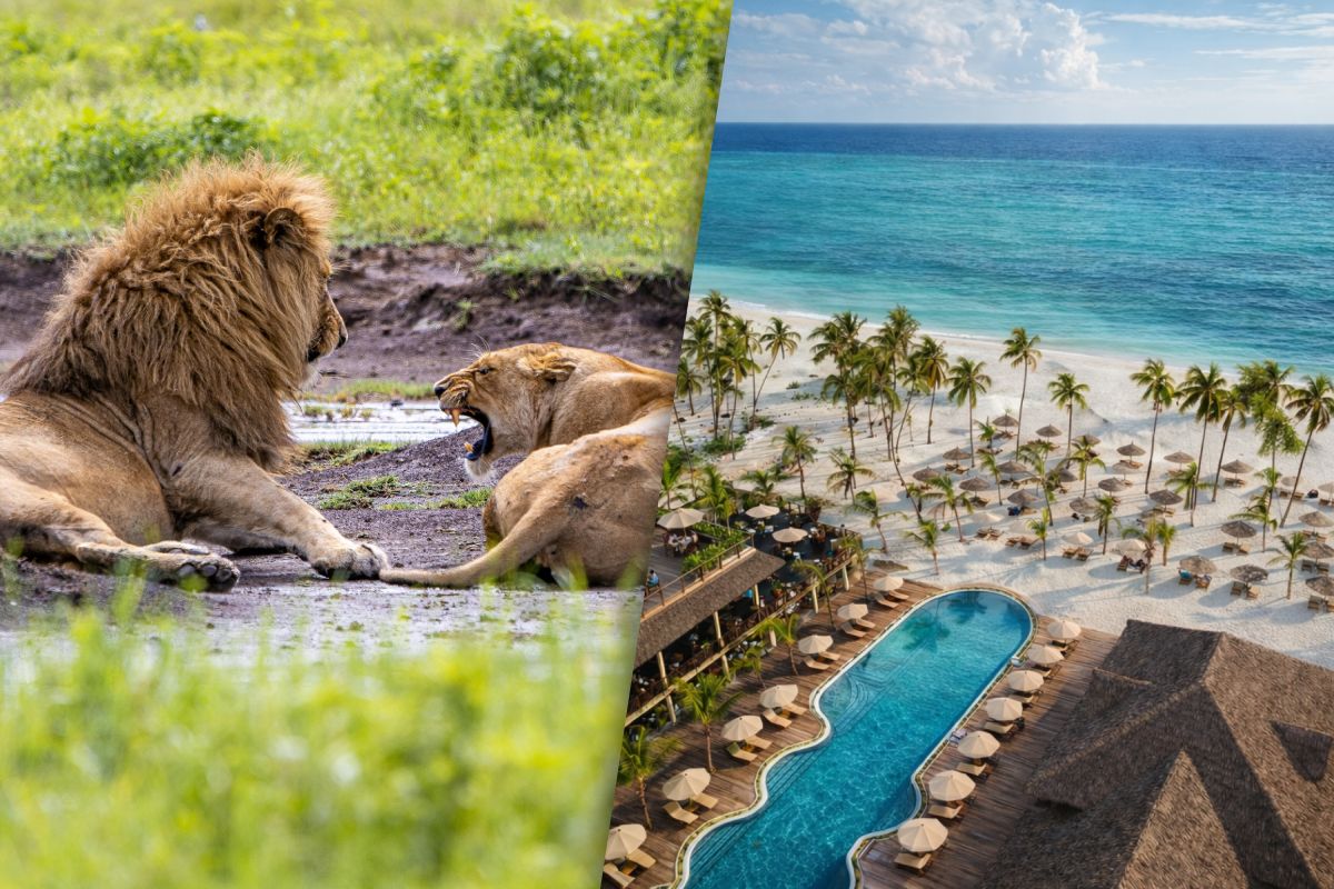 Circuit Jet tours Safari Club Jet tours Anaya Zanzibar 5* et Safari 3 nuits Dans la Réserve Saadani pas cher photo 2