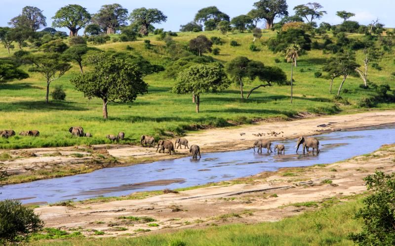 Circuit Jet tours Safari Club Jet tours Anaya Zanzibar 5* et Safari 2 nuits dans la Réserve Serenget pas cher photo 8