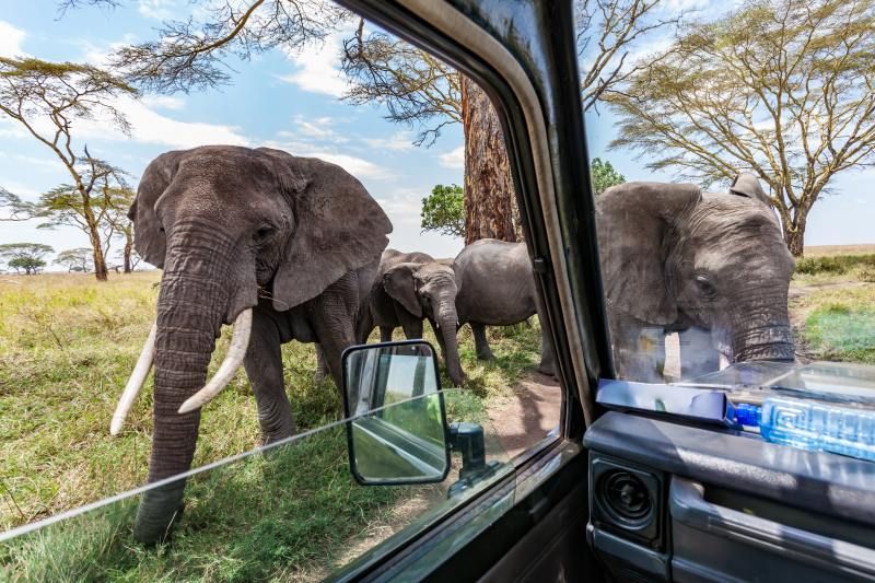 Circuit Jet tours Safari Club Jet tours Anaya Zanzibar 5* et Safari 2 nuits dans la Réserve Serenget pas cher photo 10