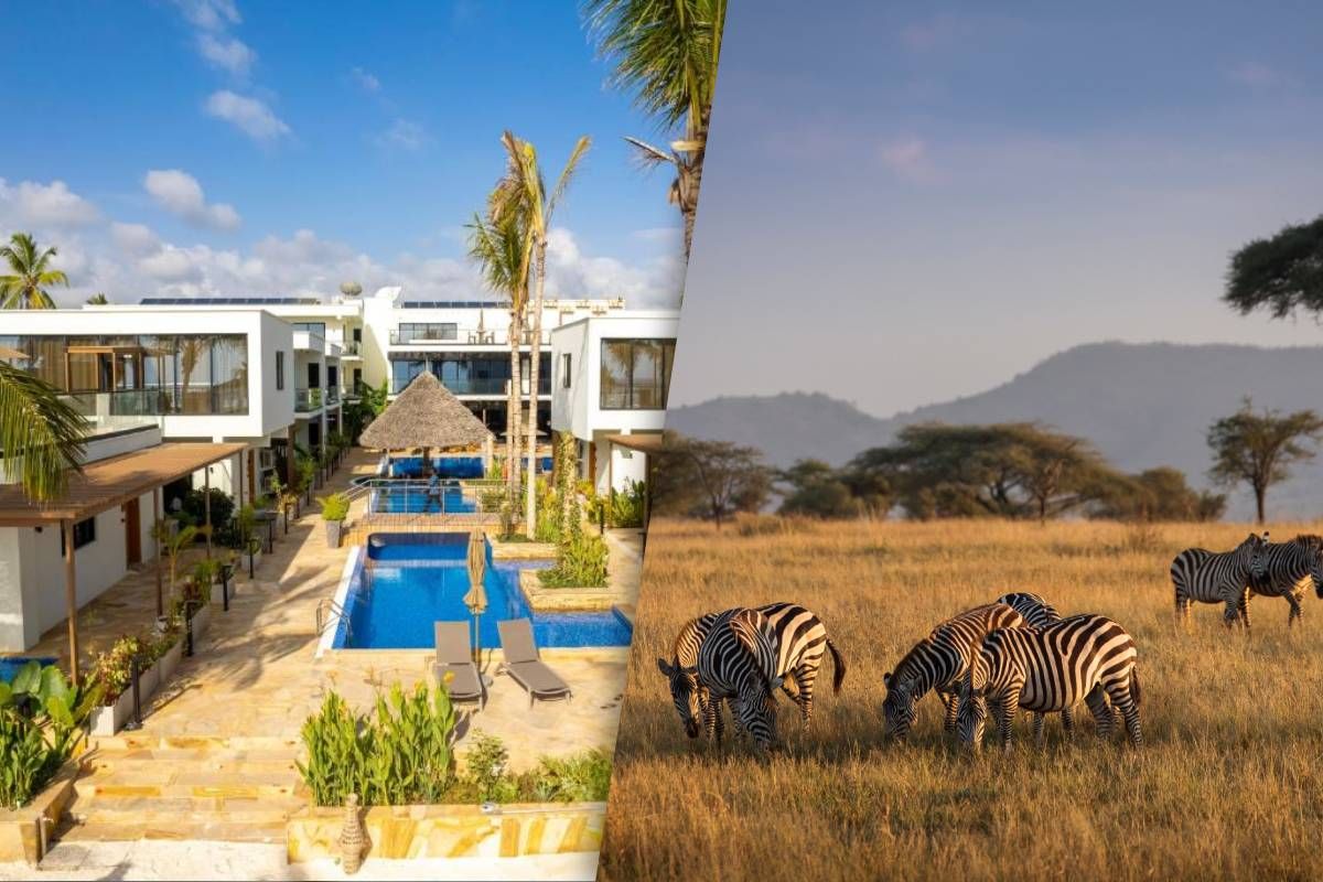 Safari Serengeti 2 nuits et Séjour au Jet tours Signature Toa Hotel & Spa 5* pas cher photo 2