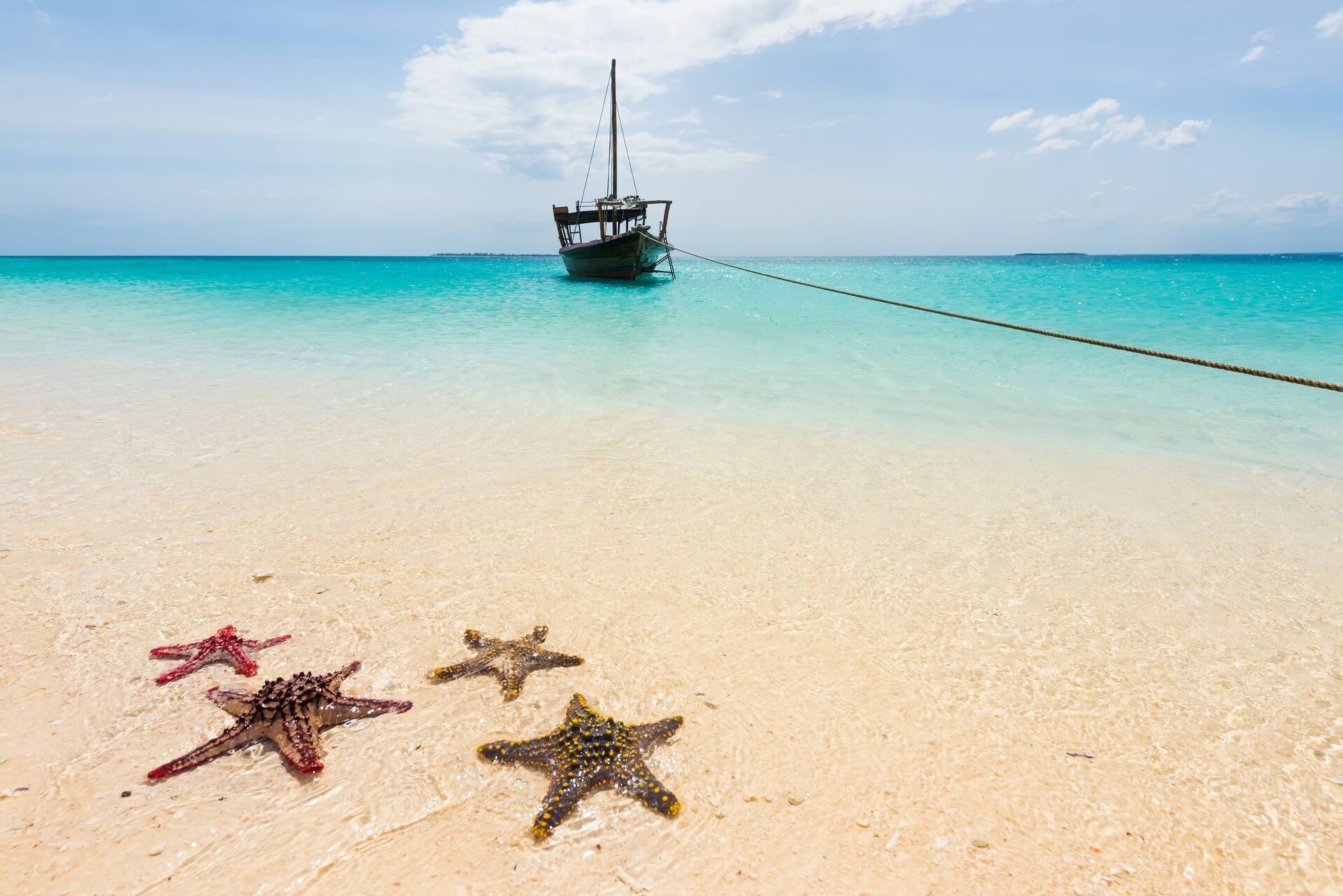 La Tanzanie Autrement & 3 nuits Zanzibar en Hôtel 5*(nl) - 14J/11N - 2026 pas cher photo 10