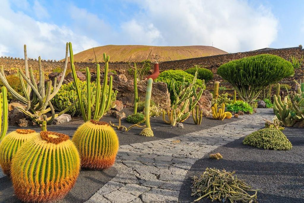 Combiné Hôtel THB Flora 3* et Smart Club Hôtel SMY Tahona 3* pas cher photo 3