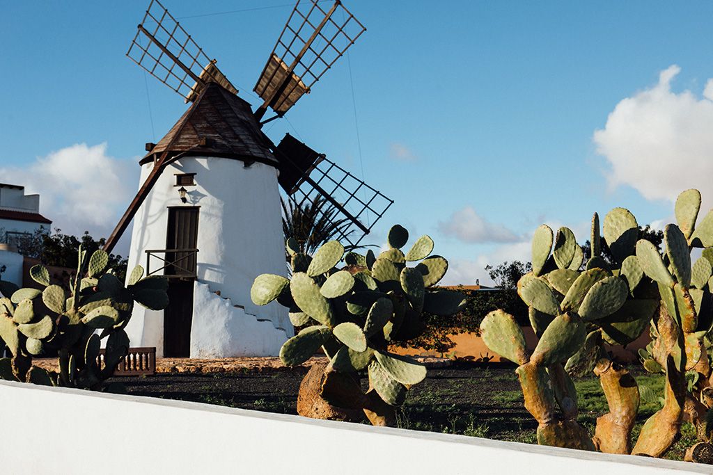 Combiné Hôtel THB Flora 3* et Smart Club Hôtel SMY Tahona 3* pas cher photo 10