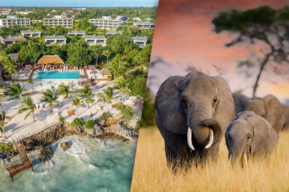 Safari 4 nuits Ngorongo, Tarangire et Manyara et Séjour au Jet tours Signature Aldiana Club Kwanza 5 pas cher photo 2