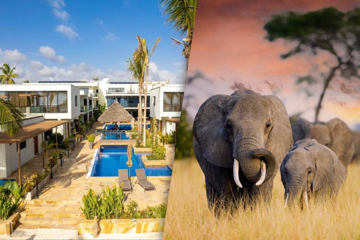 Safari 4 nuits Ngorongo, Tarangire et Manyara et Séjour au Jet tours Signature Toa Hotel & Spa 5* pas cher photo 2