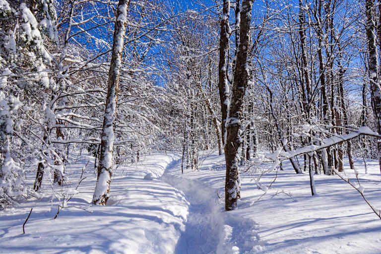 Merveilles Hivernales au Québec - 3* pas cher photo 8