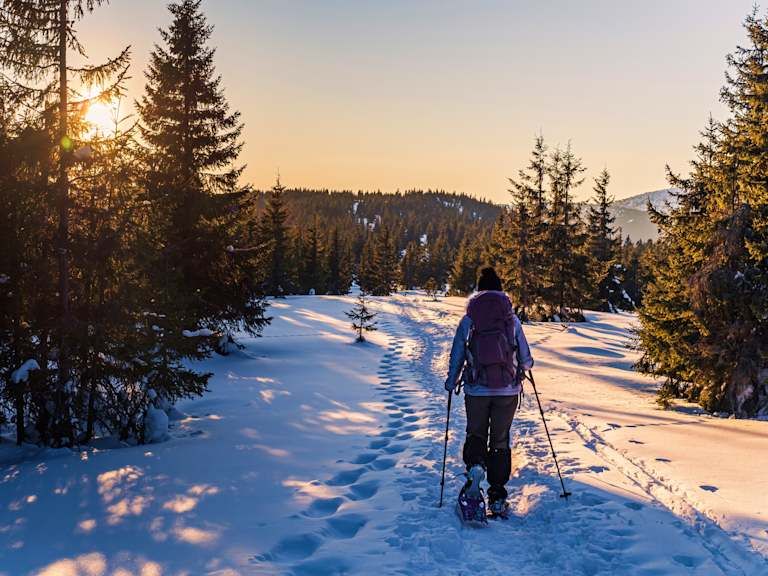 Merveilles Hivernales au Québec - 3* pas cher photo 13