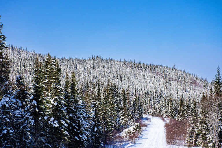 Merveilles Hivernales au Québec - 3* pas cher photo 17