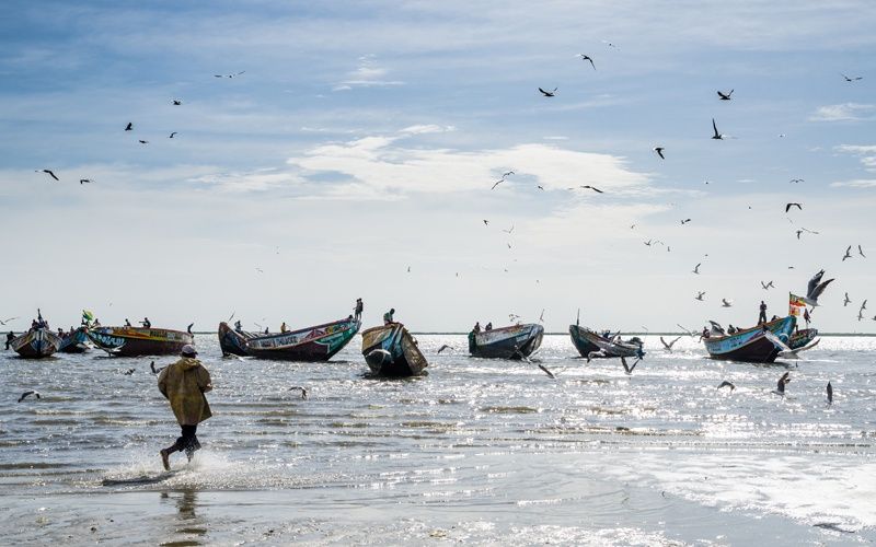 Couleurs et Saveurs du Sénégal - Flex - Sénégal pas cher photo 6