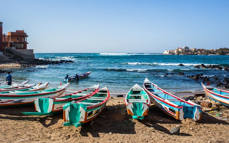 Couleurs et Saveurs du Sénégal - Flex - Sénégal pas cher photo 7