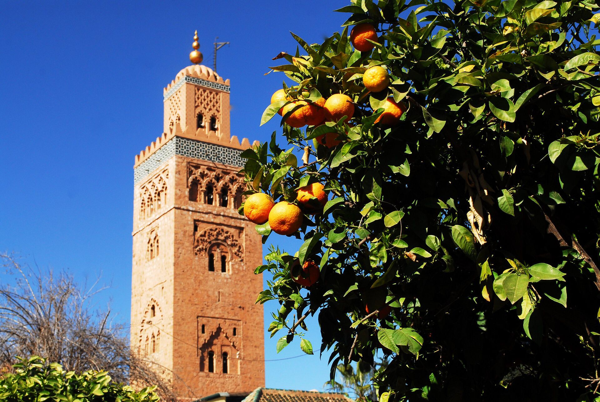 Circuit Jet Tours A L'Essentiel - Le Maroc Impérial avec extension - Kenzi Menara Palace 5* pas cher photo 12