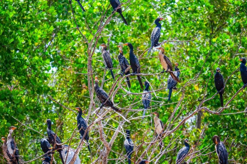 Safari Ngorongoro 4 nuits et Séjour au Kappa Club Zanzibar 5* pas cher photo 7