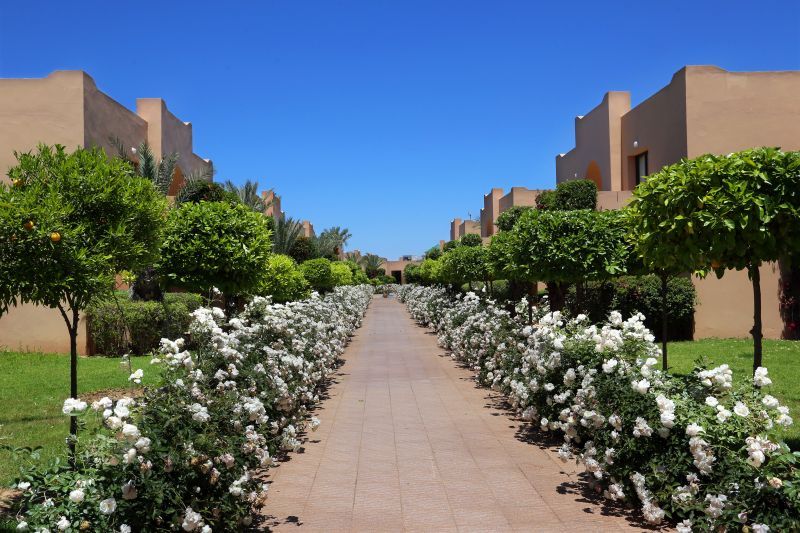 Circuit L'Appel Du Désert de Zagora & Séjour au Valeria Dar Atlas Marrakech 4* pas cher photo 14