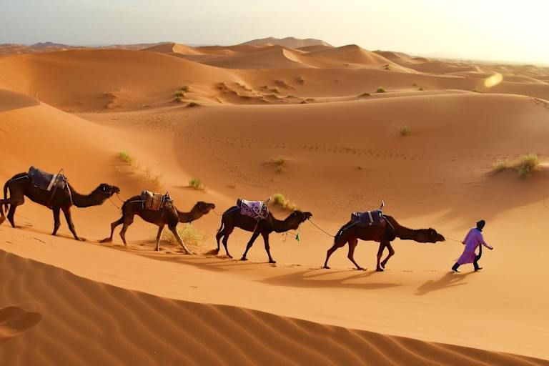 Combiné le Caire, Louxor et Hurghada - visites incluses 5* pas cher photo 11
