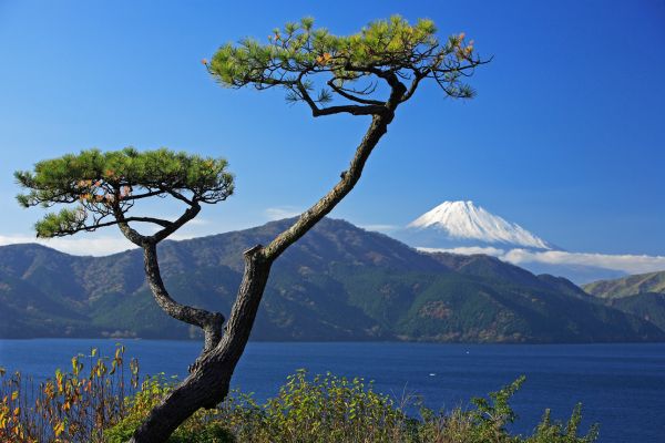 Combiné Japon-Corée, Les Trois Cités Légendaires pas cher photo 12