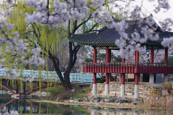 Combiné Japon-Corée, Les Trois Cités Légendaires pas cher photo 20