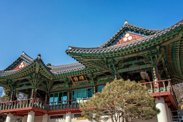 Combiné Japon-Corée, Odyssée entre Traditions et Lumières pas cher photo 12