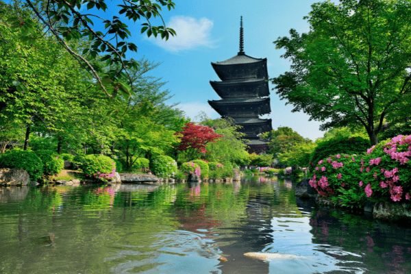 Combiné Japon-Corée, Odyssée entre Traditions et Lumières pas cher photo 29