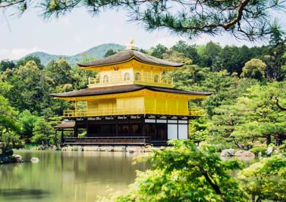 Combiné Japon-Corée, Odyssée entre Traditions et Lumières pas cher photo 33