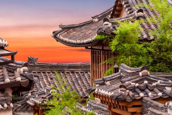 Combiné Japon-Corée, L'Eveil de Deux Mondes pas cher photo 13