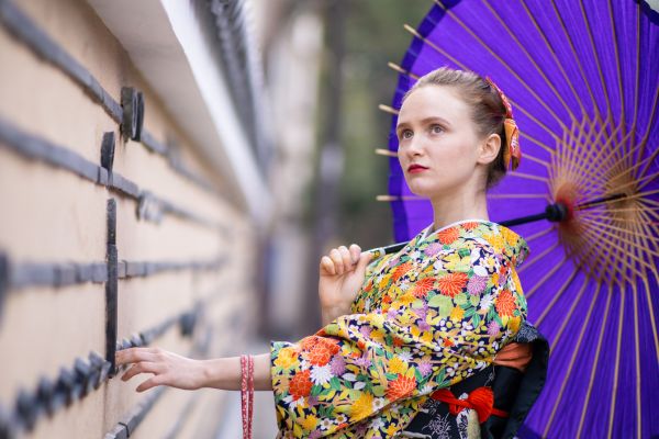 Combiné Japon-Corée, L'Eveil de Deux Mondes pas cher photo 20