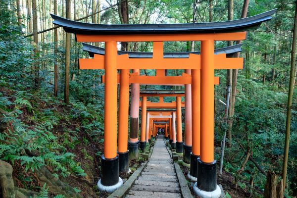 Combiné Japon-Corée, L'Eveil de Deux Mondes pas cher photo 4
