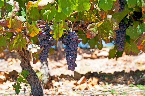 Autotour Les Grands Espaces en Liberté pas cher photo 1