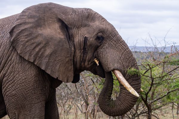 Autotour Les Grands Espaces en Liberté pas cher photo 13