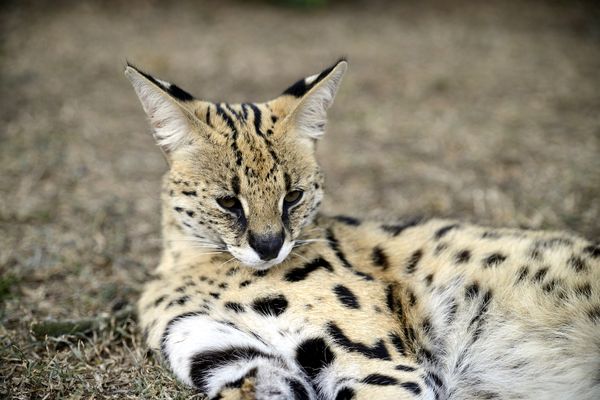 Autotour Les Grands Espaces en Liberté pas cher photo 14