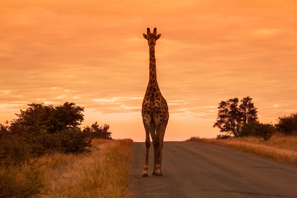 Autotour Les Grands Espaces en Liberté pas cher photo 17