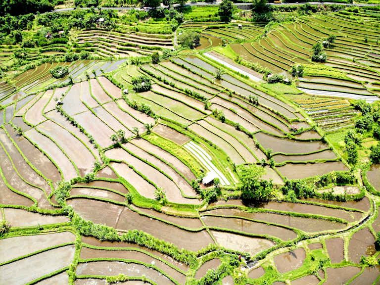 Circuit A la découverte de la culture Balinaise 3* pas cher photo 13