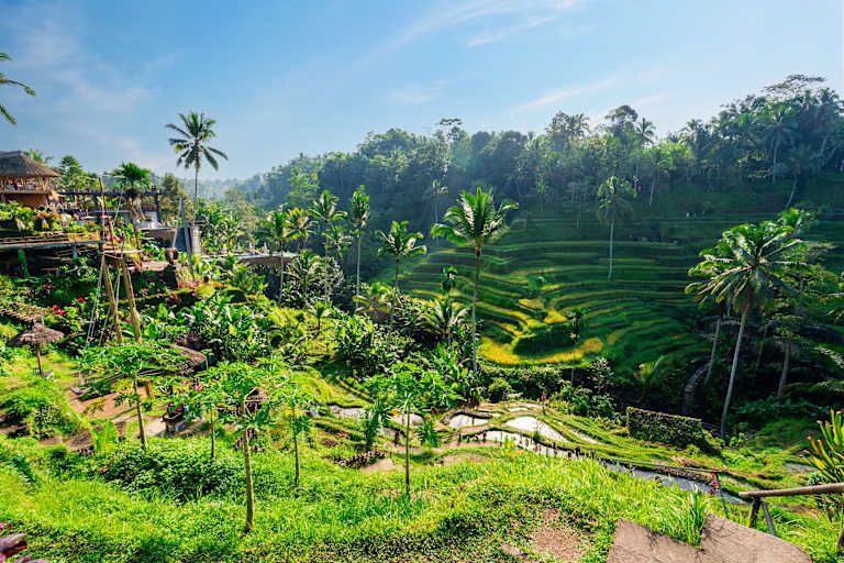Combiné Evasion Tropicale à Bali, Lombok et Gili 4* pas cher photo 3