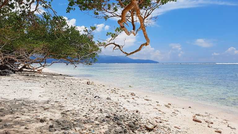 Combiné Evasion Tropicale à Bali, Lombok et Gili 4* pas cher photo 9