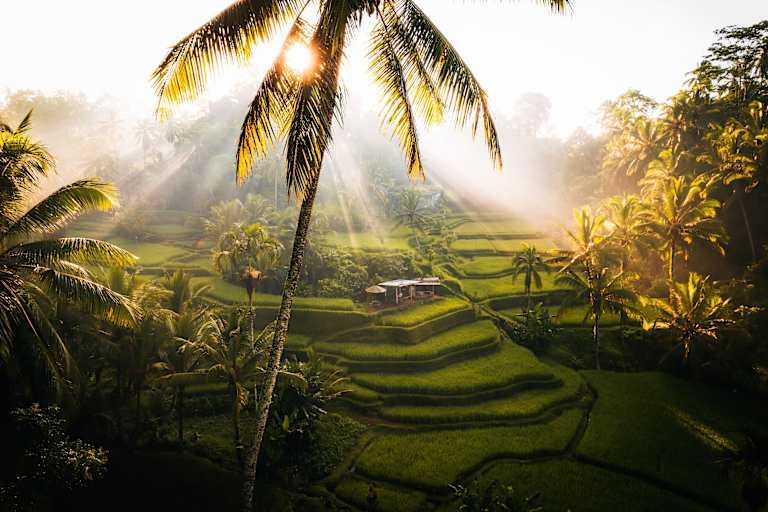 Circuit Escapade Romantique à Bali 5* pas cher photo 2