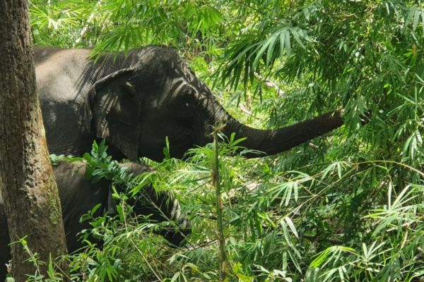 Circuit Cambodge Autrement, Ethique et responsable en Privatif pas cher photo 2