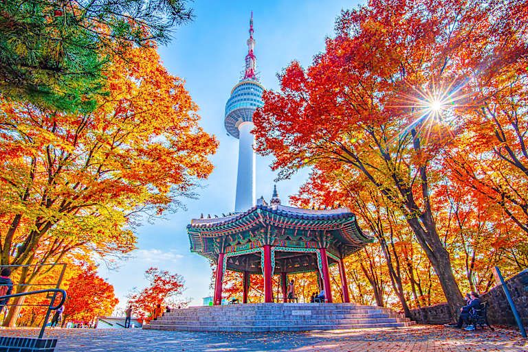 Évasion asiatique : De la Corée du Sud au Japon pas cher photo 4