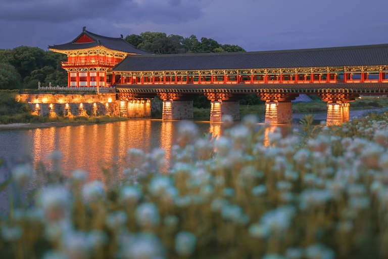 Évasion asiatique : De la Corée du Sud au Japon pas cher photo 11
