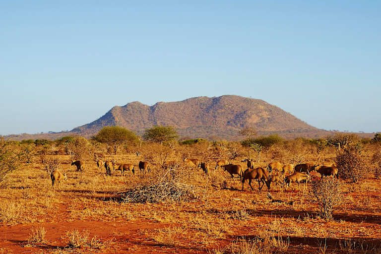 Circuit De la savane authentique aux rivages du Kenya 4* pas cher photo 5