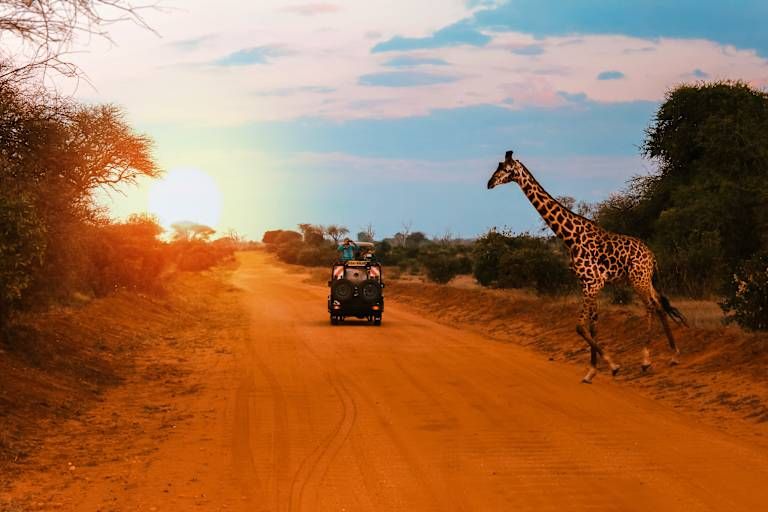 Circuit De la savane authentique aux rivages du Kenya 4* pas cher photo 6