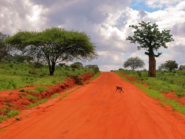 Circuit De la savane authentique aux rivages du Kenya 4* pas cher photo 9