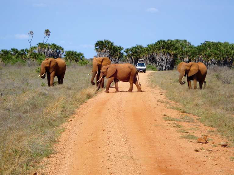 Circuit De la savane authentique aux rivages du Kenya 4* pas cher photo 12