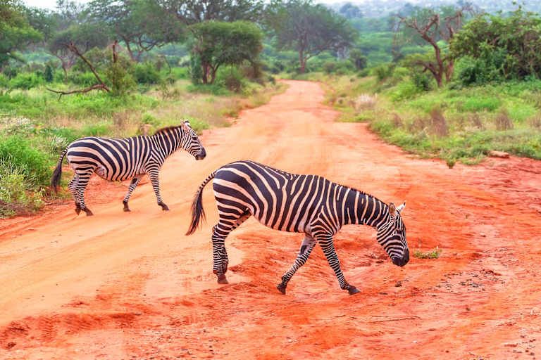 Circuit De la savane authentique aux rivages du Kenya 4* pas cher photo 13