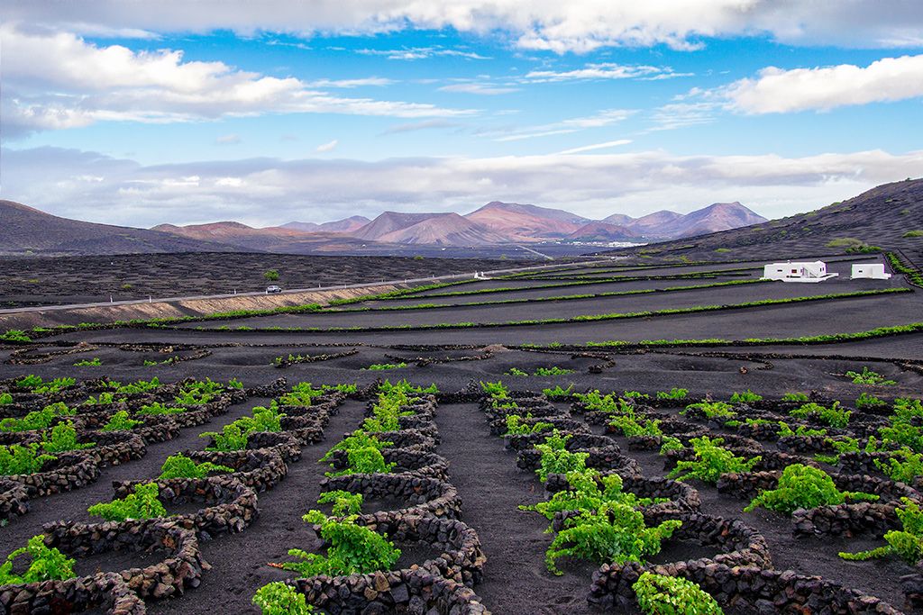 Circuit Escapade à Lanzarote Entre Soleil et Nature Volcanique 3* pas cher photo 7