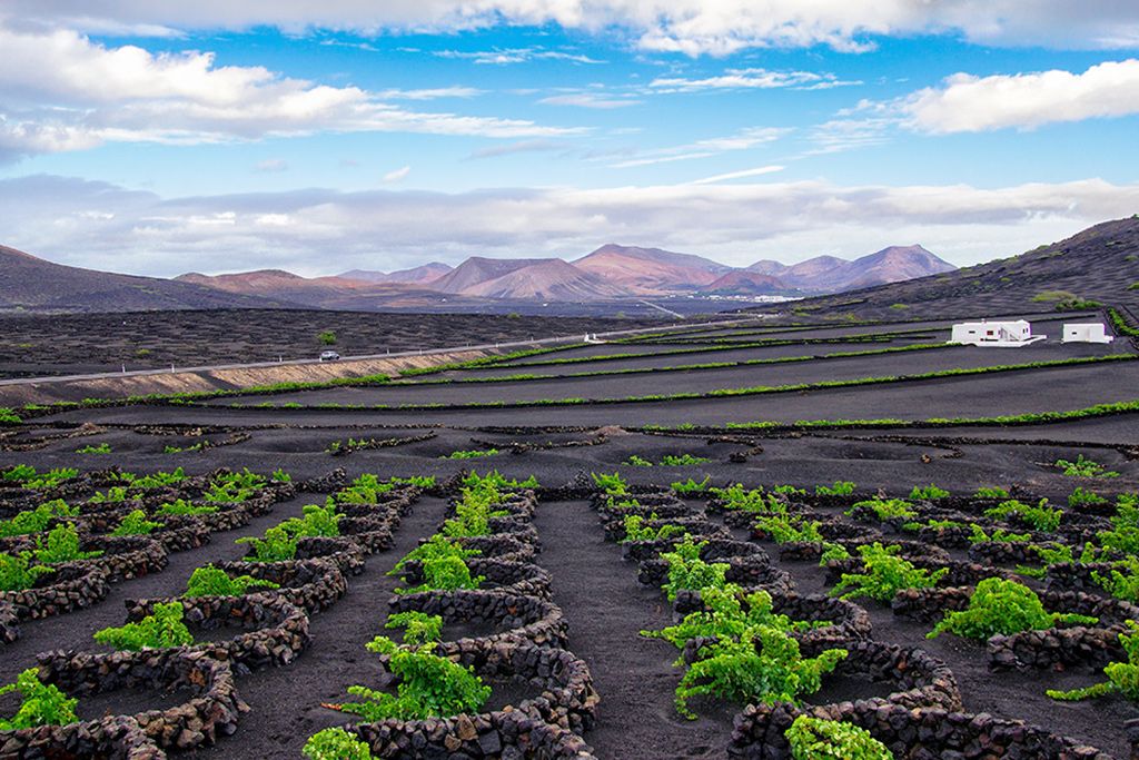 Circuit Escapade à Lanzarote Entre Soleil et Nature Volcanique 4* pas cher photo 7