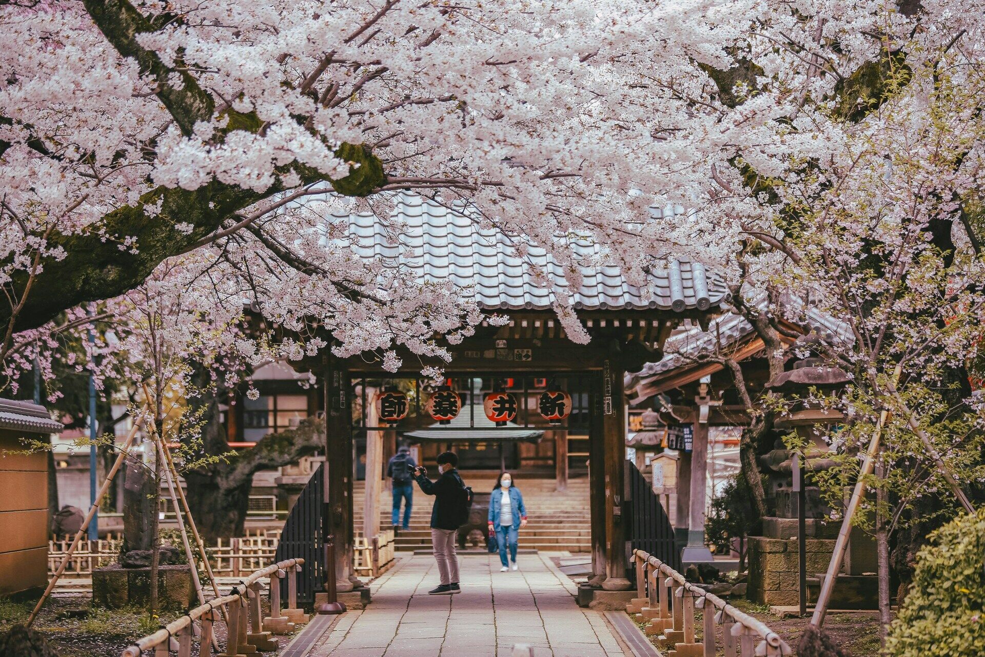 Circuit Individuel Aventure Japon avec Universal et Warner Studios 3* pas cher photo 18